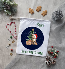 Load image into Gallery viewer, Christmas Bear Treat Bag 3 Colours - Christmas
